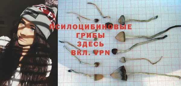 метадон Покачи