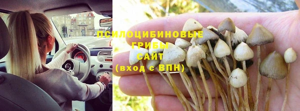 spice Покровск