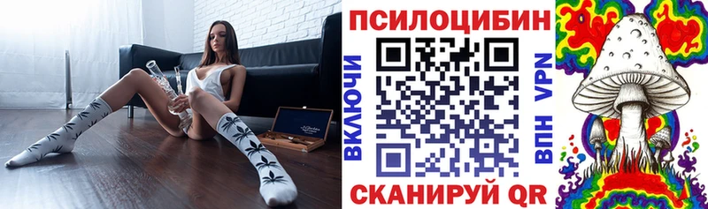 Псилоцибиновые грибы Psilocybe  Купить  Пыть-Ях 
